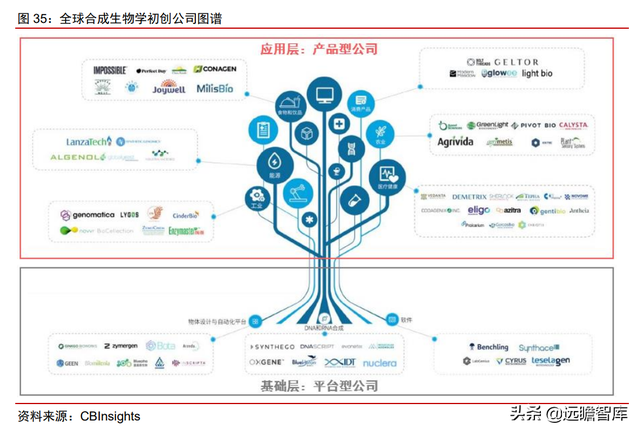 颠覆传统，合成生物：迎来历史发展机遇，乘势而起，引领未来