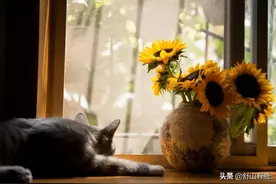 “人若欠你，天必偿你”：再不幸，以下几点，都是命运对你的补偿图片