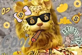 春节将至，毛孩子们的寄养、留守攻略已出，铲屎官们注意查收了～图片