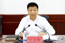 马立阳、王勇、宋金虎、周涛，被提起公诉图片