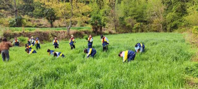 四川省民生研究会新媒体中心-官网