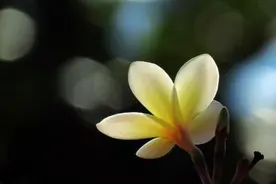 恭喜那些微信干净的人图片