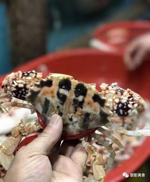 40头的花胶是几级 2025年花胶40头是什么意思?