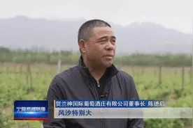 闽宁镇：闽宁携手共谱山海情图片