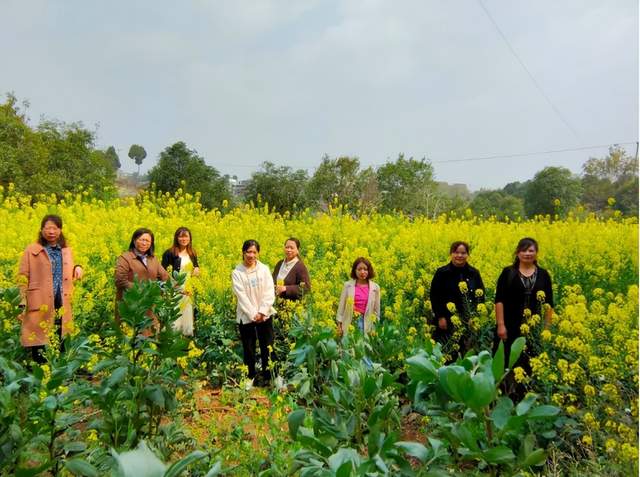四川省民生研究会新媒体中心-官网