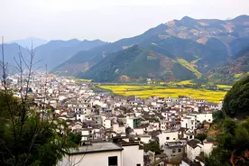 好消息！中科大国际校区落户合肥，占地1000亩，合肥又能打赢一仗图片