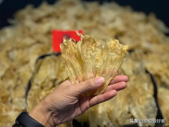 北海鱼胶图片 北海鱼胶图片及功效