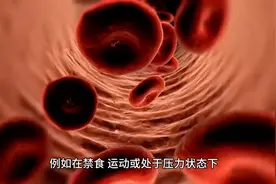 【健康科普】脂肪分解是什么？图片