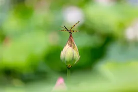 一个人在落魄的时候，一无所有、山穷水尽、负债累累，该怎么办？图片