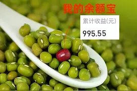 余额宝出道十年又“翻红”，累计收益3867亿，网友：没想到还是它最靠谱图片