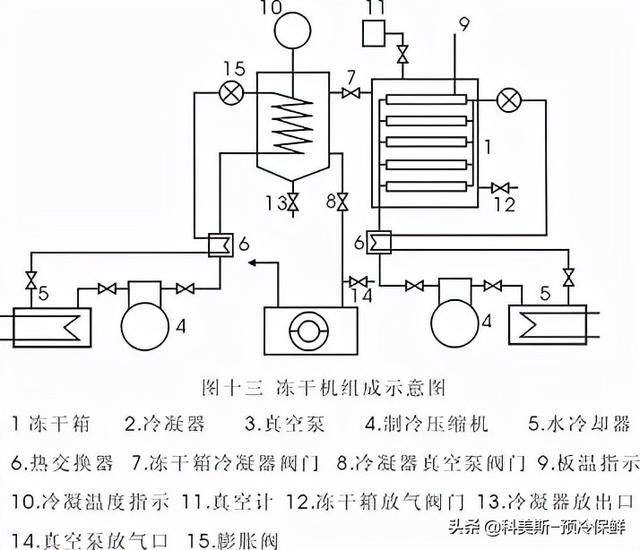 真空冷冻干燥技术讲解