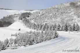 “暖冬”？不存在！最低-17℃！三九天张家口要迎来首场降雪断崖式降温图片