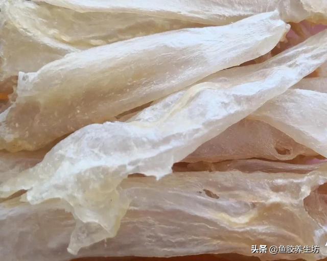 人工合成花胶 人工合成花胶可以吃吗