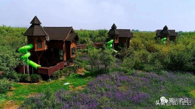 宁夏中宁某景区万元征集广告语上千人参加!来看这些广告语咋样