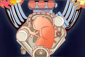 漫画—《“肾虚”状态图鉴，你虚了吗？》图片