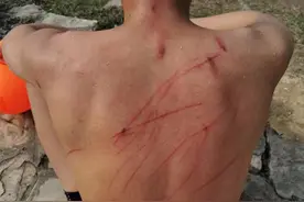 小伙子下湖游泳被黑天鹅“暴揍”，网友：《人类一败涂地》图片