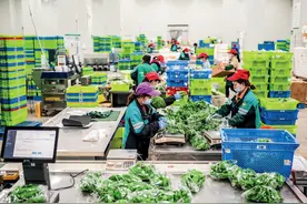 叮咚买菜：不能踏进同一条河流图片