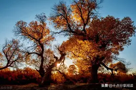 “磨刀不误砍柴工”，在别人的经验里也能思考自己的出路图片
