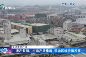 广清产业园：打造产业集群 带动区域协调发展图片
