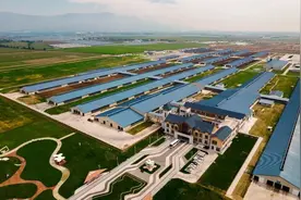 敕勒川生态智慧牧场里奶牛的幸福生活图片