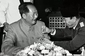 69年厨师失误做了一道“苦瓜炒鸡丁”，毛主席好奇：这是谁的发明图片