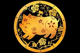 小文章：养猪图片