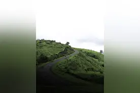 词频背单词简介图片