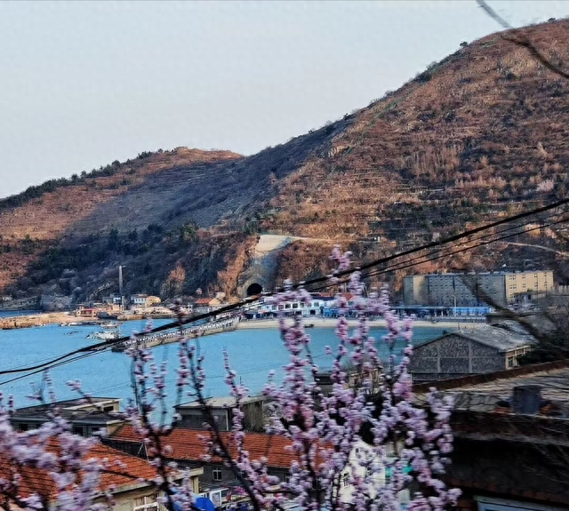 青岛崂山旅游攻略(青岛崂山一日游最佳方案)