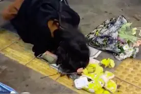 梨泰院事故亲历者重返现场哀悼：女孩跪地哭喊男朋友不在了，老人求上天把儿子还给他图片