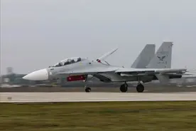 “海空雄鹰团”歼10苏30升级低可视涂装，增加灰色雄鹰标识图片