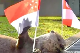 新加坡冷知识：永远的夏令时“新加坡标准时间”40周年图片