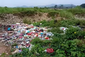 农村出现“4多”的怪象，且越来越严重，村村都有，怎么解决图片