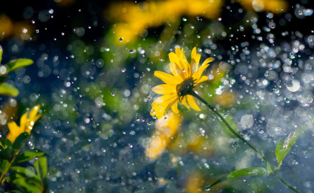 「诗词鉴赏」夏天的那场大雨，那些大雨的诗词，大气磅礴雄阔壮观