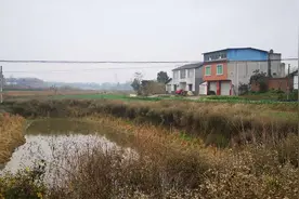 开挖耕地建房、挖砂、养鱼……这五起破坏耕地案被起诉了图片