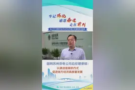 国网苏州供电公司总经理蔡榕： 以清洁低碳的方式 促进地方经济高质量发展图片