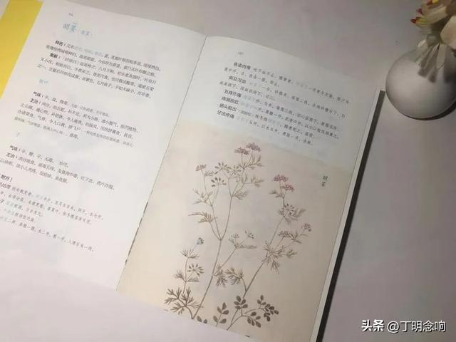 《图解本草纲目》适合普通人阅读的博物志