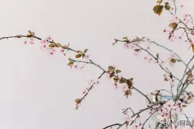 医学生必知：医学论文的八类体裁，你知道吗？图片