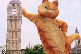 信用卡逾期的后果图片