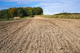 “活人无地，死人有田”，农村土地怪现象如何解决？你怎么看图片