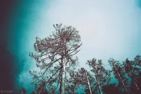 什么是梦魇？一个被梦魇折磨十几年的人来告诉你图片