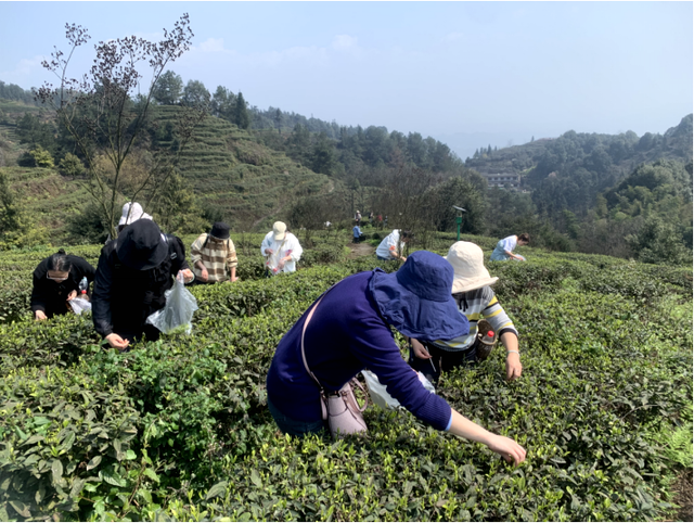 四川省民生研究会新媒体中心-官网