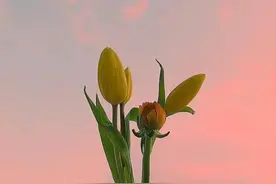 其实，你的“脸”，就是你命运的“因果”！图片