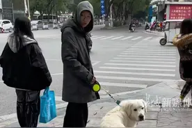 社牛女生路遇白色金毛，想要和它握手… 网友：把主人和狗狗都吓了一跳图片