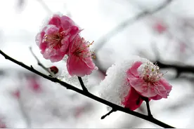天雨虽广难育无根之草，佛门虽大不渡无缘之人图片