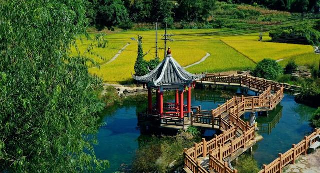 活动招募600人！“寻年味·纳福跑”——乌当新堡站报名开启