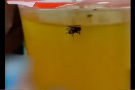 蜜雪冰城饮品出现苍蝇，店员称无可避免，张红甫能接受这个解释？图片
