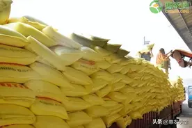 今天尿素是什么价格？附：尿素大颗粒与小颗粒的区别图片