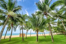 海南物价真的很离谱吗？来海南过冬一个月后，我发现事实并非如此图片