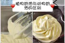 蛋糕店不想让你知道的秘密，植物奶油和动物奶油，你会分辨吗图片