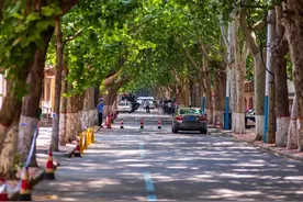 “77”，半个世纪最牛的年级序号图片